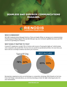 Renodis One Pager