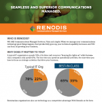 Renodis One Pager
