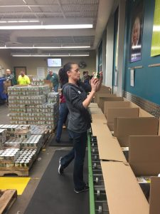 renodis volunteering