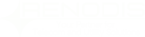 Renodis NEW Logo design white