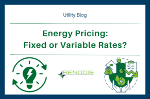 energy pricing: fixed or variable rates